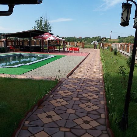 Casa Robi Hotel Pestisani Екстериор снимка