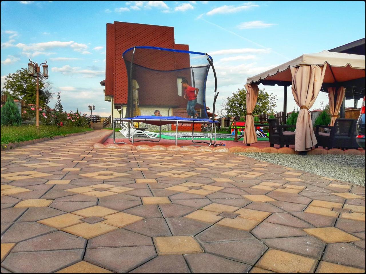 Casa Robi Hotel Pestisani Екстериор снимка