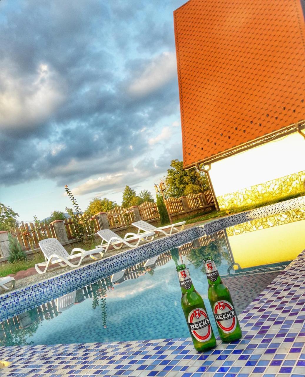 Casa Robi Hotel Pestisani Екстериор снимка